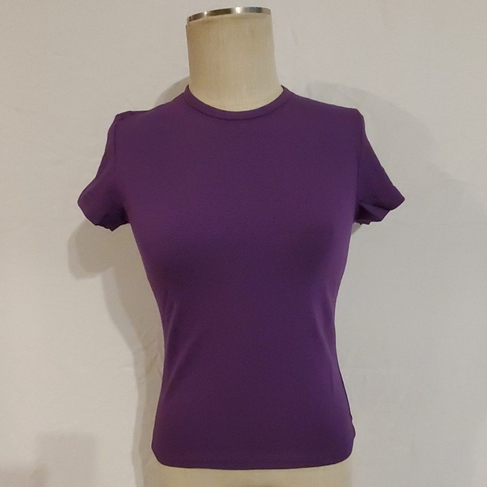Dickies short sleeve tshirt Plum